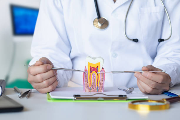Best Emergency Dental Care for Broken or Chipped Teeth in White City, OR